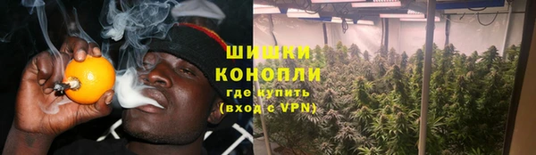 PSILOCYBIN Алексеевка