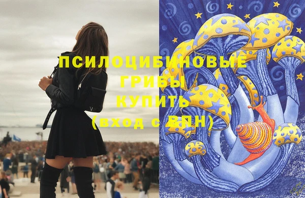 PSILOCYBIN Алексеевка